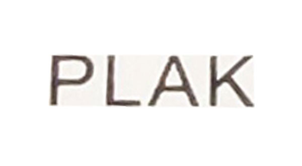 Plank